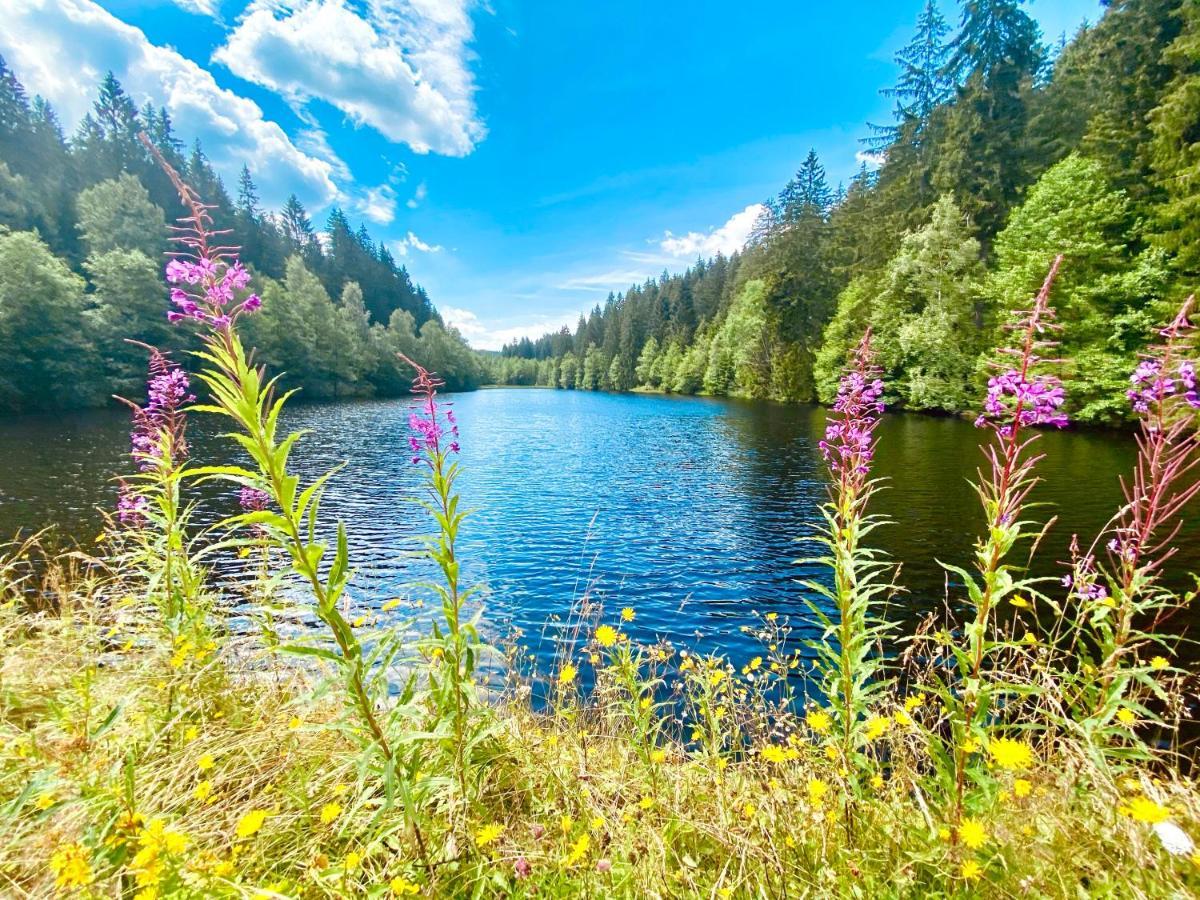 B&B Am Oker, Altenau, Harz Альтенау Екстер'єр фото