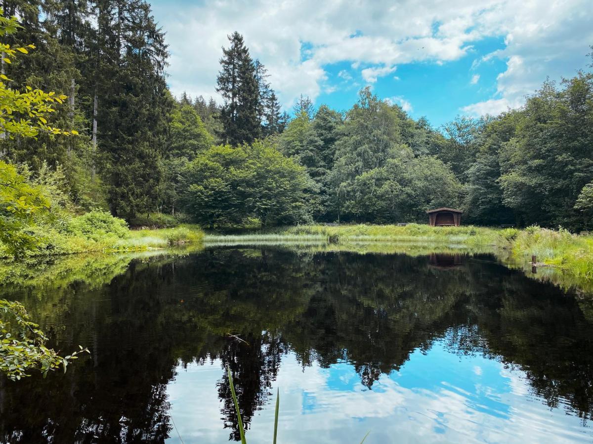 B&B Am Oker, Altenau, Harz Альтенау Екстер'єр фото