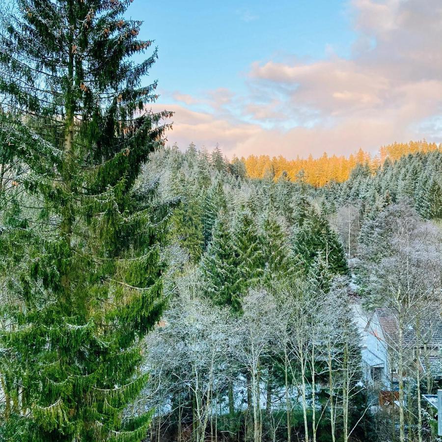 B&B Am Oker, Altenau, Harz Альтенау Екстер'єр фото